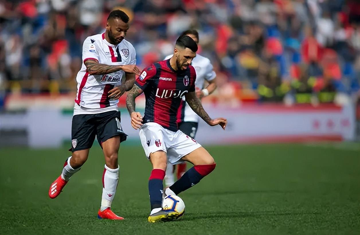 足彩网环境卡组构成